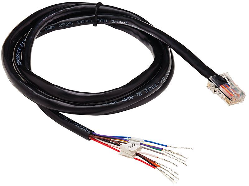 Digi 48" RJ-45 Bare Wire Cable  (10 pin)